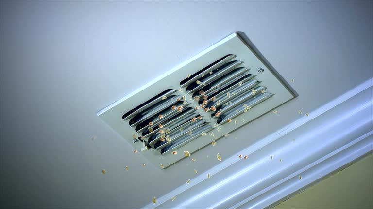 Best Local Air Duct Cleaning Services  in Eton, GA