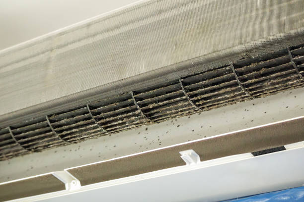 Best Emergency Air Duct Cleaning  in Eton, GA